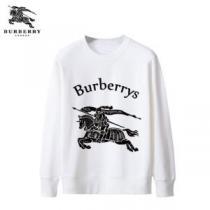 プルオーバーパーカー 2026春夏 存在感のある 多色可選 バーバリー BURBERRYブランド コピー