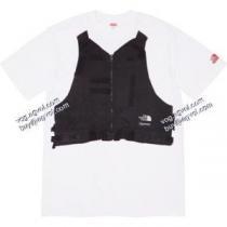シュプリーム SUPREME 2026春夏 ～希少 シュプリームブランド 偽物 通販 Supreme x The North Face RTG Tee 半袖Tシャツ