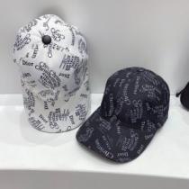 2026春夏   最旬アイテム  2色可選  ディオール DIOR   帽子/キャップ    DIORスーパーコピー