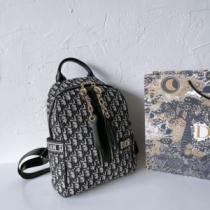 2026春夏 DIORスーパーコピー 数に限りがある ディオール DIOR モノグラムマルチカラー リュック、バックパック.58.