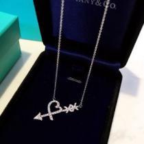 落ち着いた感覚 ティファニー Tiffany&Co 2026春夏 評価の人気品 ネックレス ティファニー スーパーコピー.220.