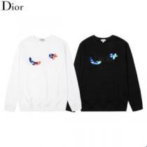 プルオーバーパーカー ロゴパーカー 2026秋冬 ディオール DIOR おしゃれさ抜群パーカ ディオールスーパーコピー 激安