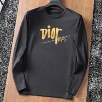 早くも完売している 2色可選 ディオール DIOR プルオーバーパーカー 存在感のある ロゴパーカー プリントパーカ ディオールブランド コピー