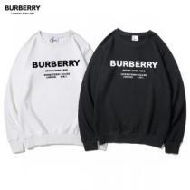 2026秋冬 希少価値大！ バーバリー BURBERRY 2色可選 バーバリースーパーコピー 激安 プルオーバーパーカー プリント柄