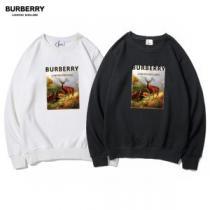 バーバリー偽物ブランド ロゴパーカー 2026秋冬 バーバリー BURBERRY 高級感ある プルオーバーパーカー 2色可選 秋の定番