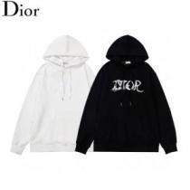 2026秋冬 ディオールスーパーコピー 激安 海外限定ライン ディオール DIOR パーカー 2色可選 ロゴパーカー 定番無地パーカー