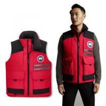 カナダグースコピー ブランド 3色可選 ステンカラー 2026秋冬 カナダグース Canada Goose おしゃれに絶大な人気の ウエストも細見せ ライトダウンジャケット