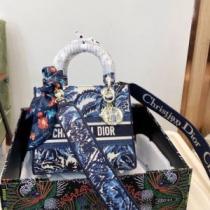ディオール DIOR サイズ豊富 ディオールブランドスーパーコピー 手持ち&ショルダー掛け ファスナーポケット付 2026秋冬 ヴェルニ.58.