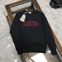 今一番HOTな新品 プルオーバーパーカー おしゃれさ抜群パーカ ロゴパーカー 2026早春 ディオール DIOR ディオールコピー 2色可選