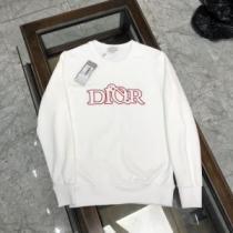 今一番HOTな新品 プルオーバーパーカー おしゃれさ抜群パーカ ロゴパーカー 2026早春 ディオール DIOR ディオールコピー 2色可選