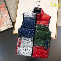 海外限定優れものコピー ブランド 優良ダウンジャケットDIOR