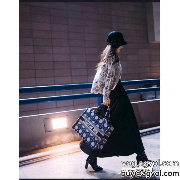 涼しげに演出完売必須☆お早めにtoteショッピングバッグブランド 品 コピーDIOR