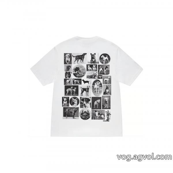 2026らしい華やか今人気の秘訣半袖Tシャツブランド 偽物STUSSY