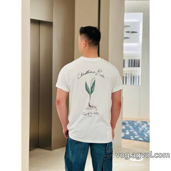人気ブランド夏の注目2026ブランド新作激安 通販 専門DIOR半袖Tシャツ
