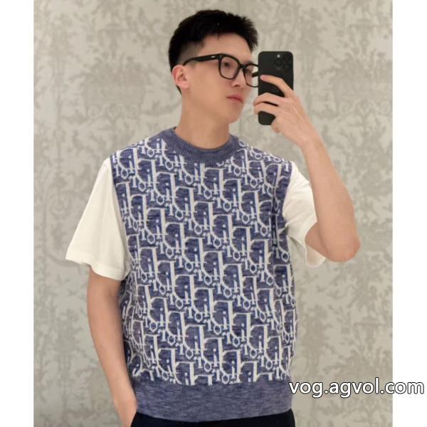 半袖TシャツDIORブランド 通販爆発的な人気高級感ある
