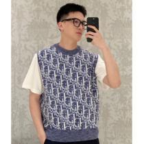 半袖TシャツDIORブランド 通販爆発的な人気高級感ある