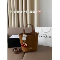 COACHバッグスーパー コピー 安心話題沸騰通勤スタイル