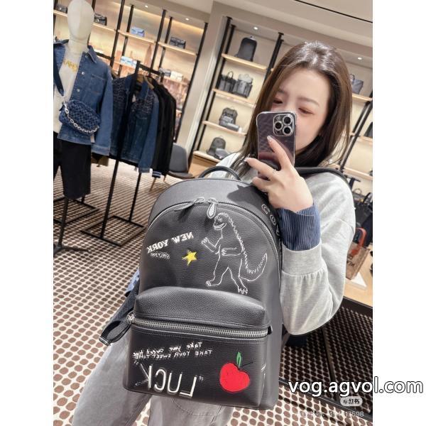 偽 ブランド ハイセンス最新人気　話題沸騰中バッグCOACH