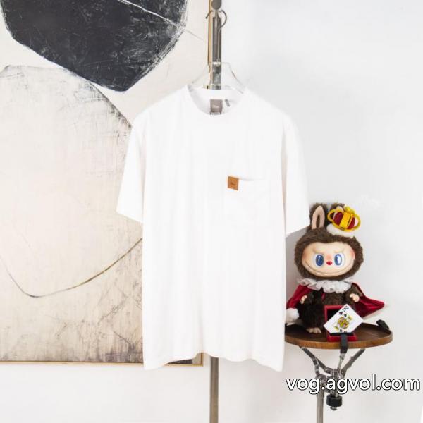 半袖Tシャツコピー 品 販売綺麗な 高品質な 人気の高さ激安通販DIOR