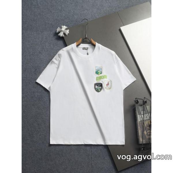 ブランド コピー超優秀 上品シックなお品 人気セールセールDIOR半袖Tシャツ