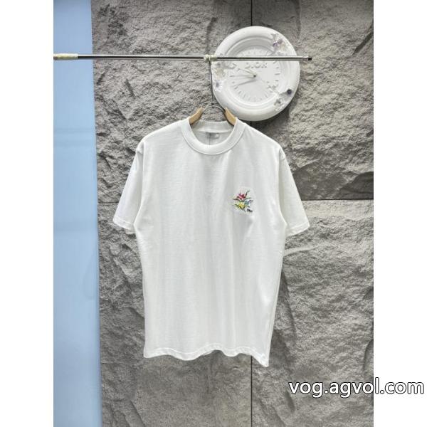 スタイルアップ上品 在庫一掃セール ファション性の高いDIOR半袖Tシャツブランド 偽物 通販