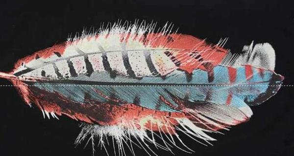 春夏のファッションMarcelo Burlonマルセロバーロン偽物　刺繍Tシャツ