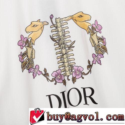 しわになりにくい 半袖Tシャツ 着心地満点 ディオール偽物ブランド 2色可選 絶大な人気を誇る 2022春夏