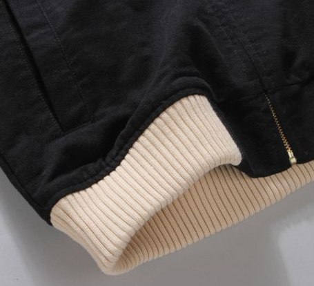 エヴィス スーパーコピー男性服富士山柄長袖ジャケット