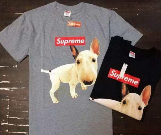 SUPREME シュプリーム 半袖Tシャツ