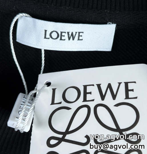 ロエベコピー LOEWE 22ss秋冬新モデル刺繍の花のカップルの款の頭を覆う衛衣_0_1