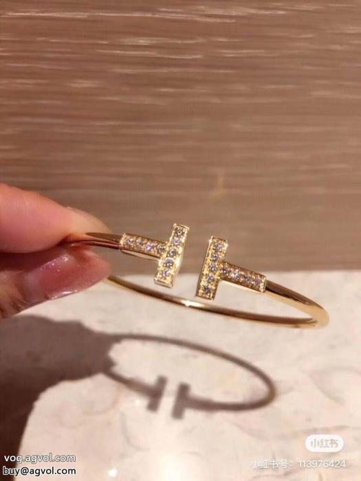 格好良い今シーズン人気のアイテムTiffany&Coアクセサリースーパー コピー どこで 買える_0_3