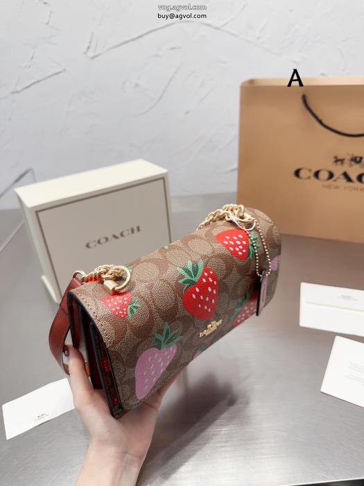 コーチバッグコピー ブランド 通販目を引く1着冬に爆発的な人気_0_5