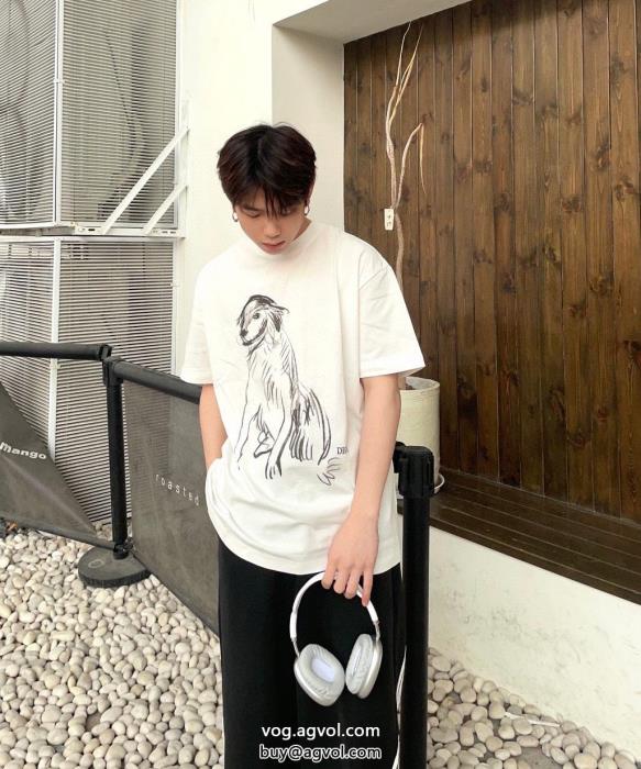 DIOR大注目国内完売数量限定大人レディなシルエットコピー ブランド半袖Tシャツ_0_3