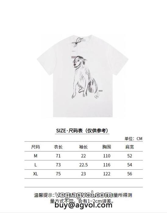 DIOR大注目国内完売数量限定大人レディなシルエットコピー ブランド半袖Tシャツ_0_2