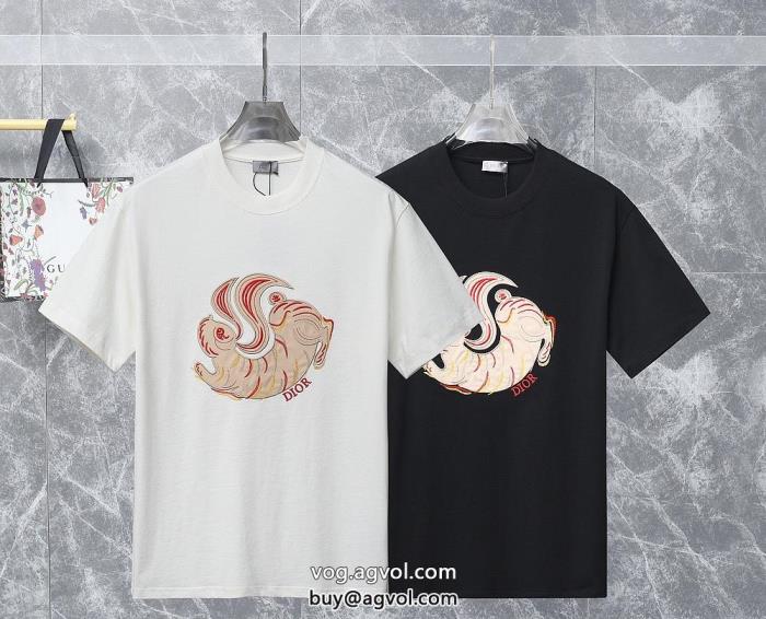 海外大人気高級感のあるデザインディオールブランド コピー s 級半袖Tシャツ_1_2