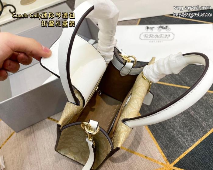 存在感ばっちりなアイテム新作限定大人でエレCOACH偽 ブランド 通販バッグ_0_0