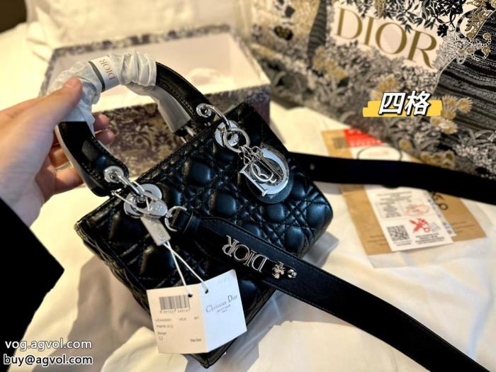 コピー 商品 ブランドバッグDIOR海外よりお届け　限定品視線を集めて_0_3