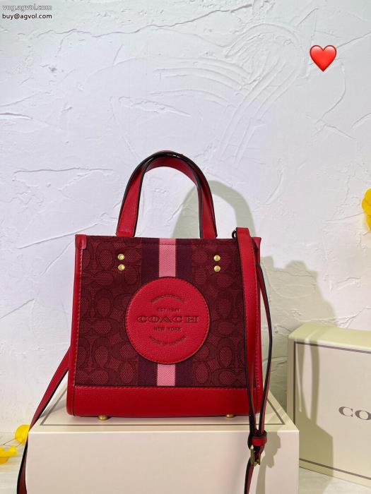 岩ちゃん愛用こなれ感を引き立たせバッグCOACHブランド コピー 販売 _0_2