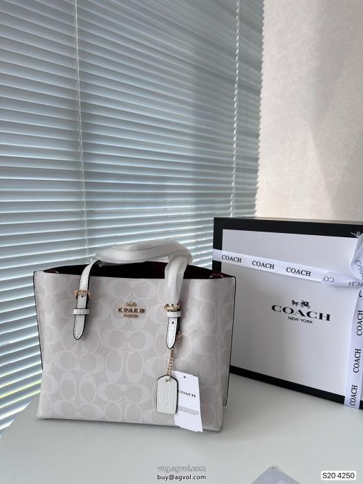 COACHスーパー コピー ブランドバッグ必見素敵お上品周りの視線を圧倒する新作_0_4