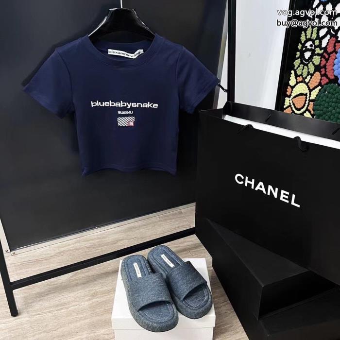 アレキサンダーワン半袖Tシャツブランド コピー 販売 送料込み 希少品著名人の着用_0_3