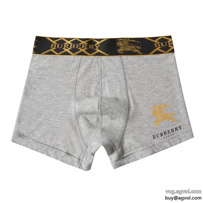 より格上げしてSS23限定版バーバリーコピー 品 販売パンツ_0_1