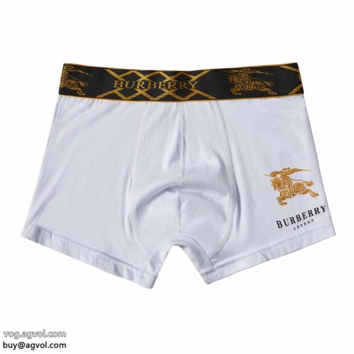 より格上げしてSS23限定版バーバリーコピー 品 販売パンツ_0_2