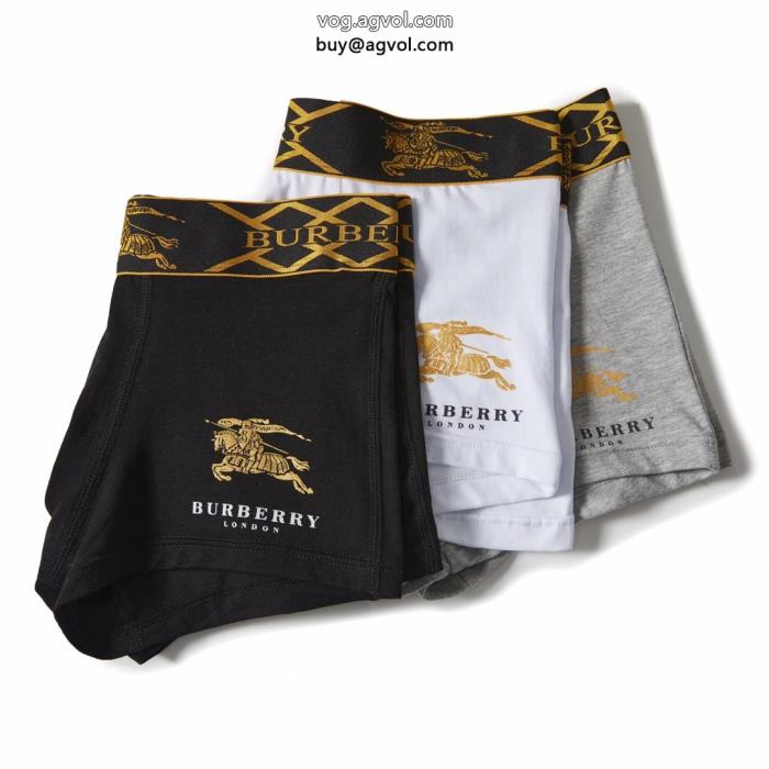 より格上げしてSS23限定版バーバリーコピー 品 販売パンツ_0_3