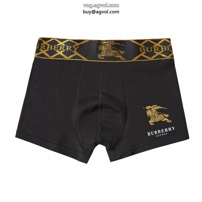 より格上げしてSS23限定版バーバリーコピー 品 販売パンツ_0_4