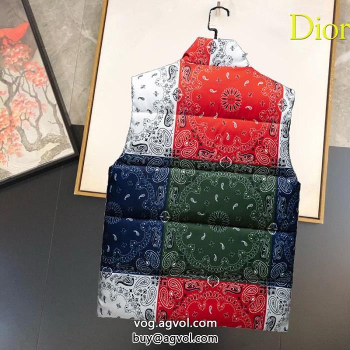 海外限定優れものコピー ブランド 優良ダウンジャケットDIOR_0_0