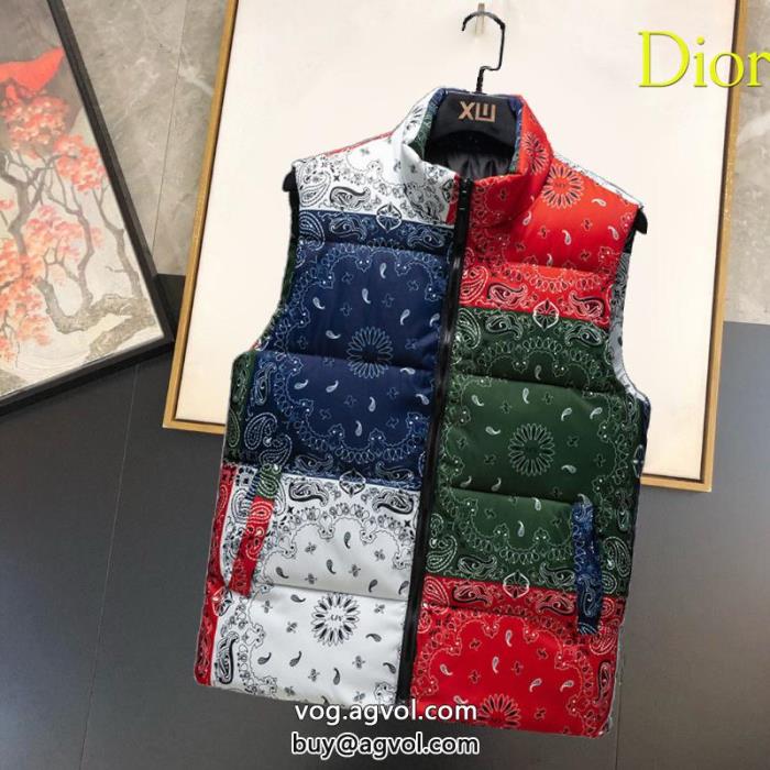 海外限定優れものコピー ブランド 優良ダウンジャケットDIOR_0_1