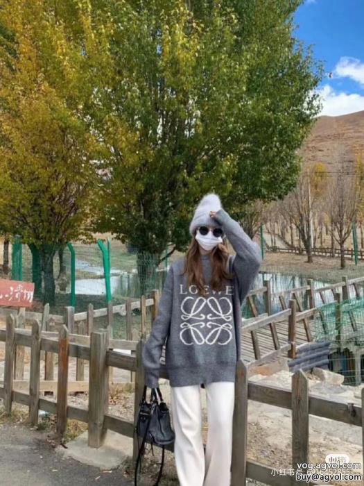 2023限定色や海外限定大人で素敵セーターロエベコピー 商品 ブランド_0_2