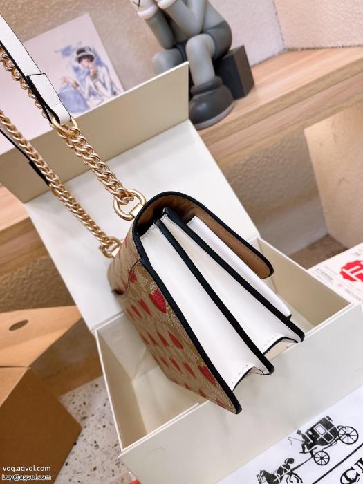 COACHバッグコピー ブランド 通販 安心早期完売魅力を放つ_0_2