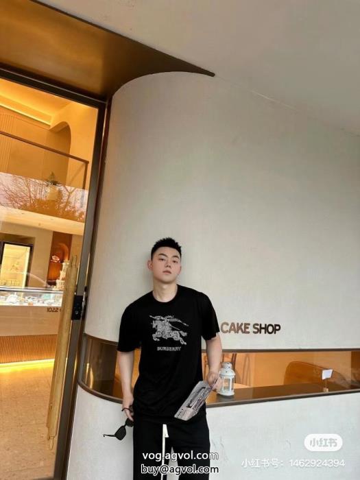 クラシックな雰囲気のトップス夏の大人カジュアルスーパー コピー 品半袖TシャツBURBERRY_0_2