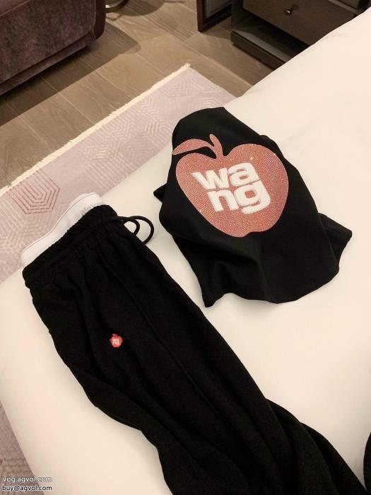 セットALEXANDER WANG上品カジュアルな雰囲気に視線を集めてブランド コピー_0_0